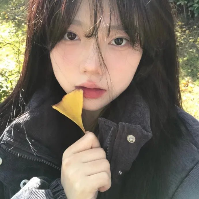 小姐姐请回答